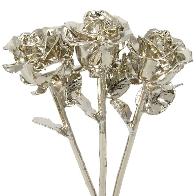 3 Past, Present, Future 11" Platinum Dipped Roses