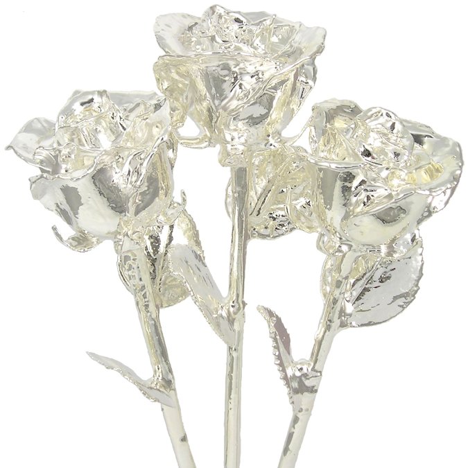 3 Past, Present, Future 11" Silver Dipped Roses