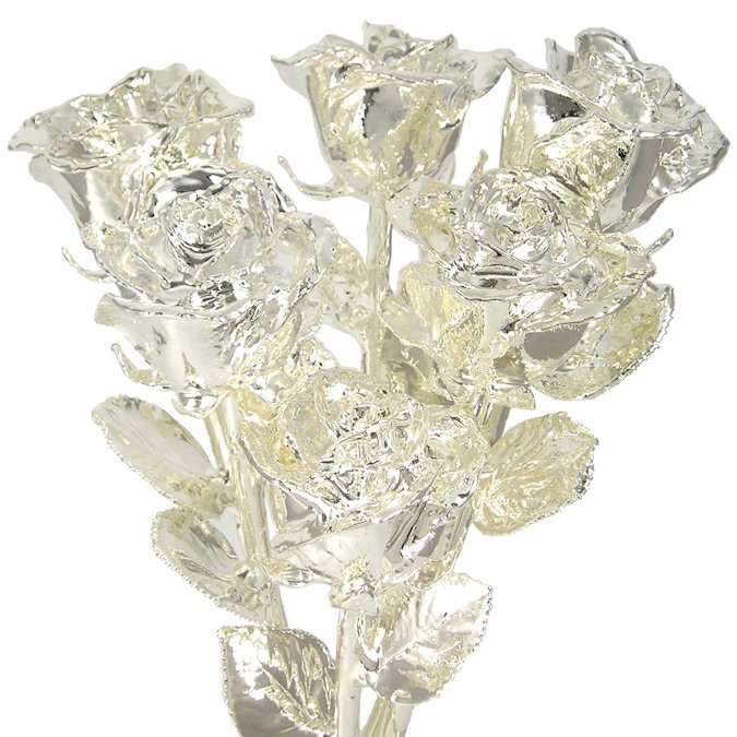 Silver Dipped Roses: Half Dozen 11" Rose Bouquet