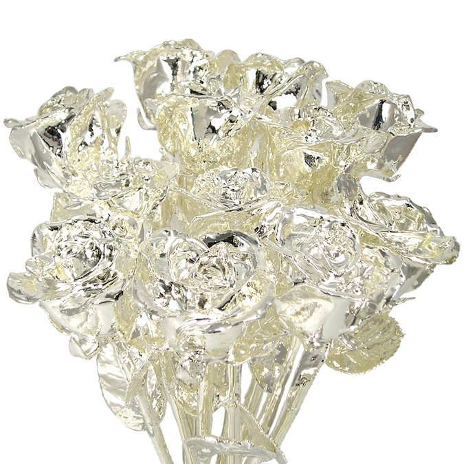 Silver Dipped Roses: 1 Dozen 11" Rose Bouquet