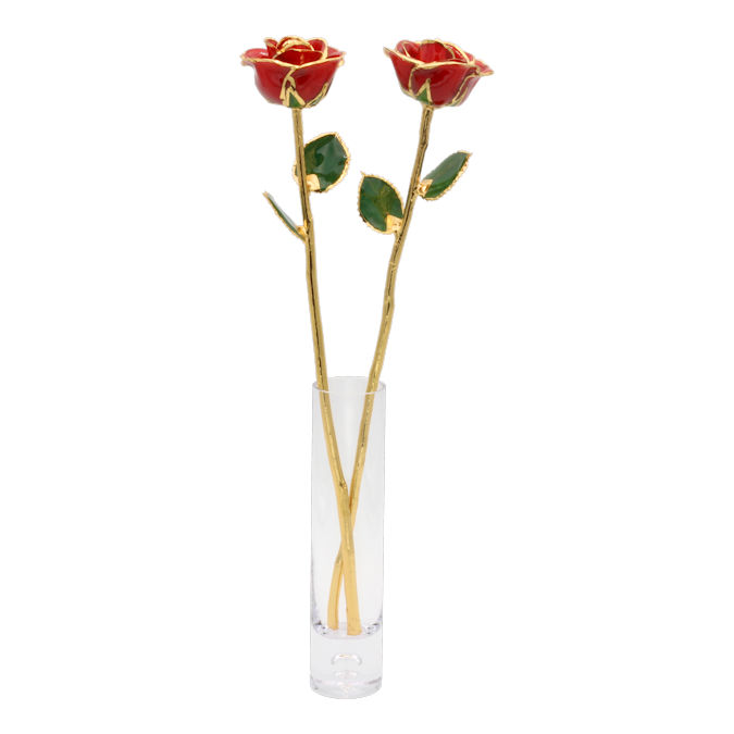 2 Anniversary 17" 24k Gold Trimmed Roses in Vase