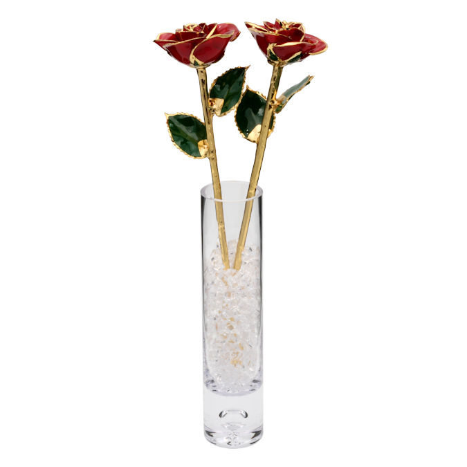 Two 1st Anniversary 11" Gold Trim Roses in Galaxy Vase