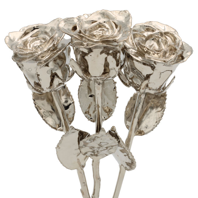 3 Past, Present, Future 8" Platinum Dipped Roses