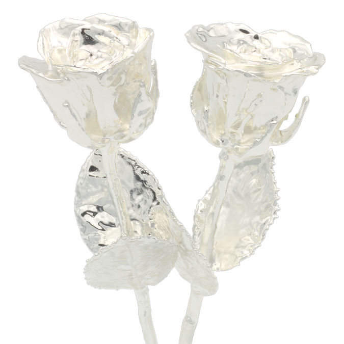 His and Her 8" Silver Dipped Roses