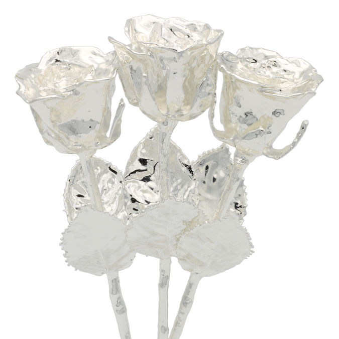 3 Past, Present, Future 8" Silver Dipped Roses