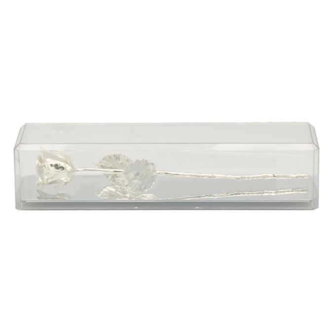 14" Silver Dipped Rose in Museum Case