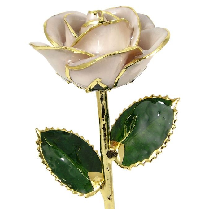 24k Gold Trimmed Rose: 11" Cream Rose