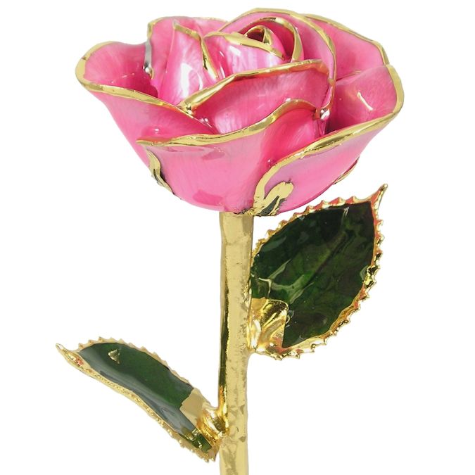 24k Gold Trimmed Rose: 11" Pink Rose