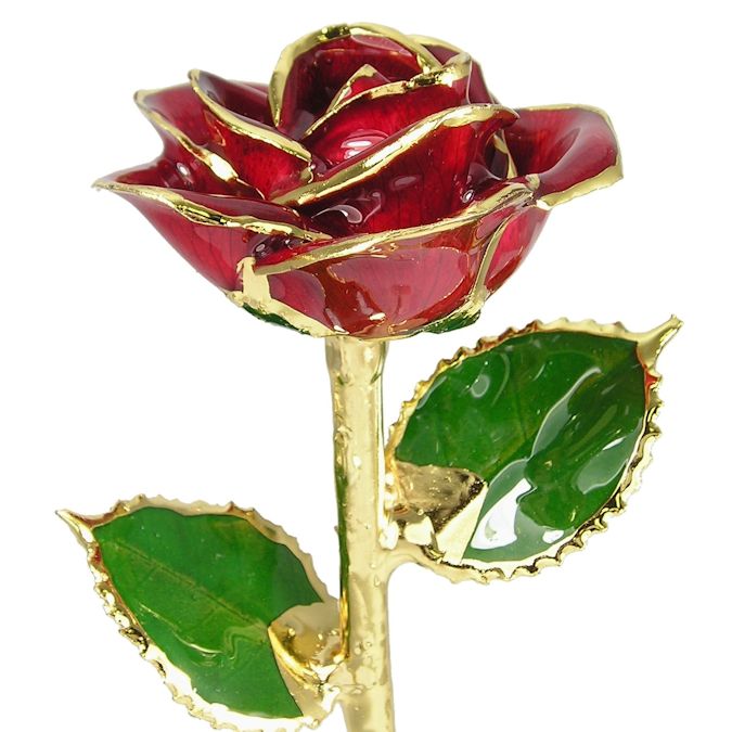 24k Gold Trimmed Rose: 11" Red Rose