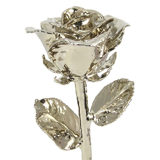 11" Platinum Dipped Rose