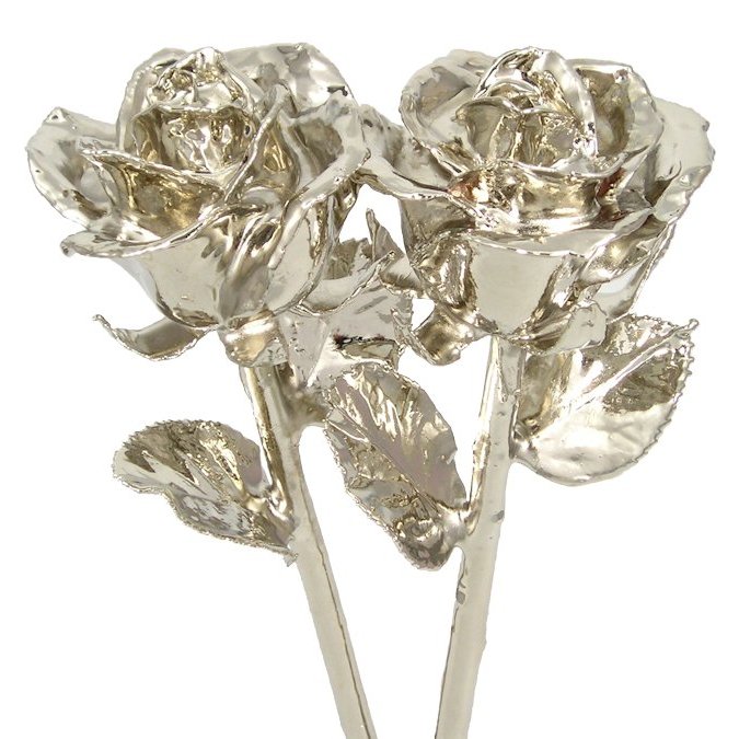His and Her 11" Platinum Roses