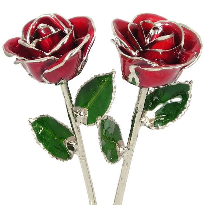 His and Her 11" Platinum Trimmed Roses