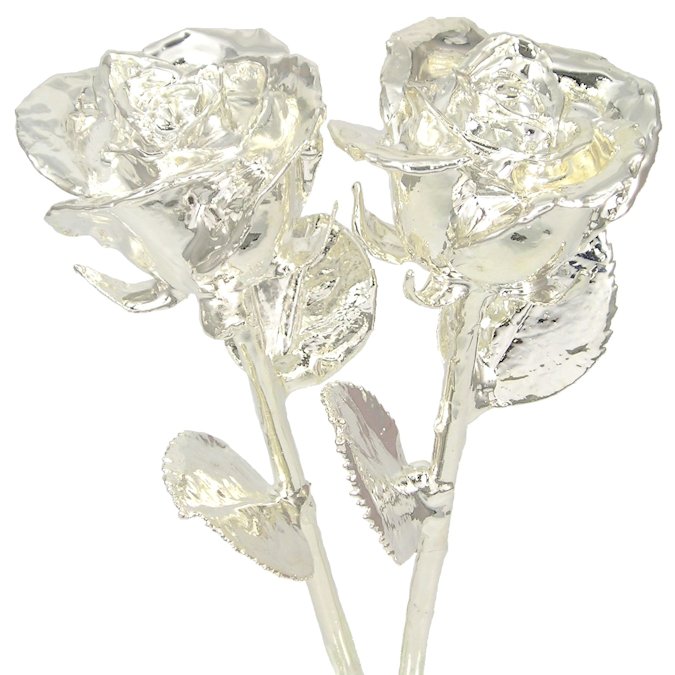 His and Her 11" All Silver Roses