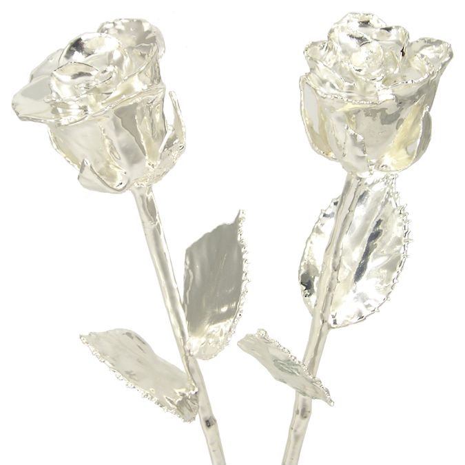His and Her 14" Silver Dipped Roses