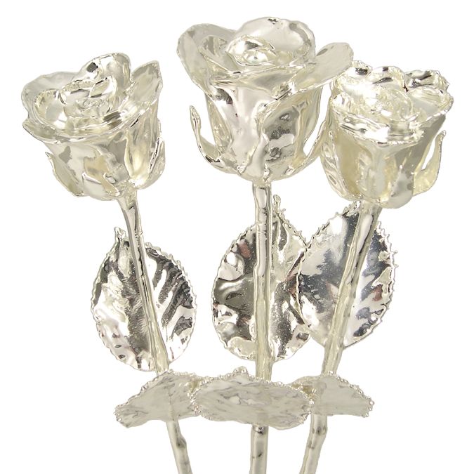 3 Past, Present and Future 14" Silver Dipped Roses