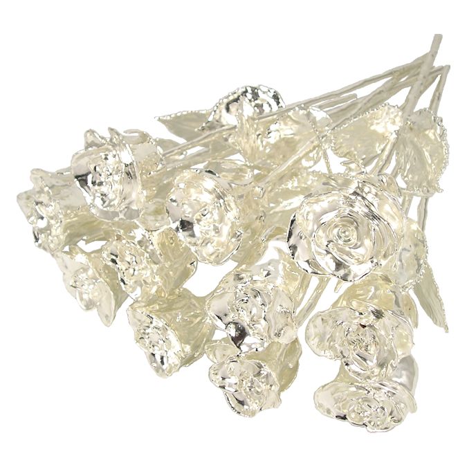 Silver Dipped Roses: 1 Dozen 14" Rose Bouquet