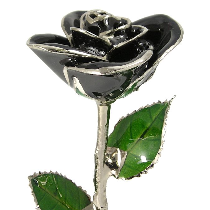 Silver Trimmed Rose: 11" Black Rose