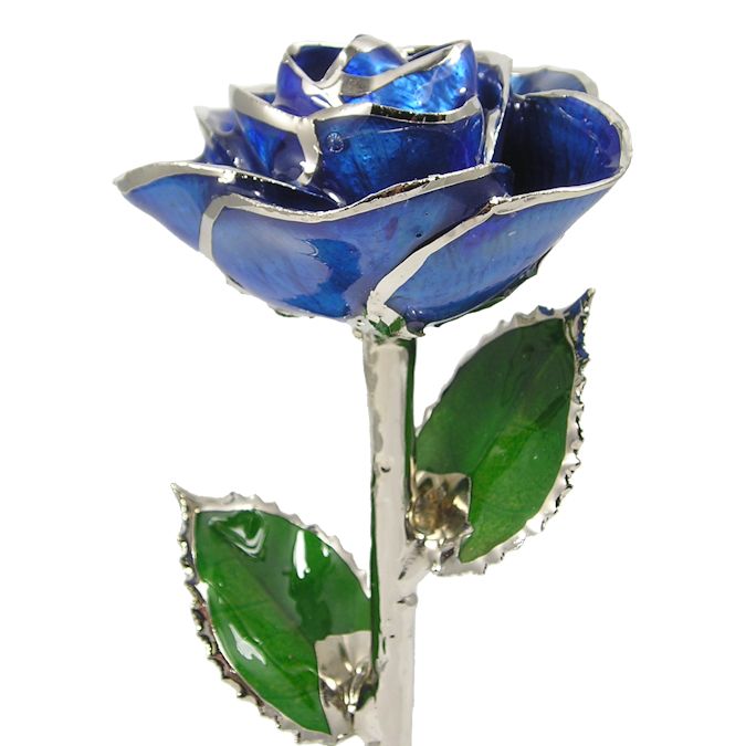 Silver Trimmed Rose: 11" Dark Blue Rose