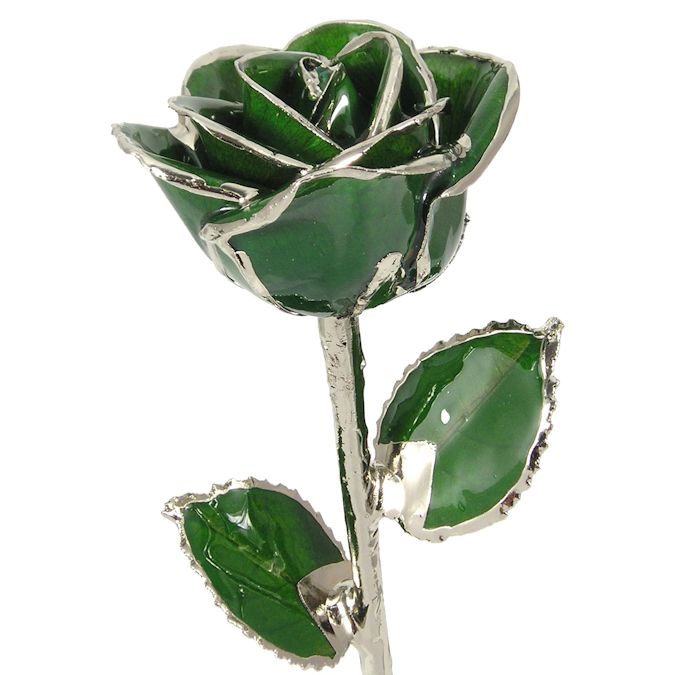 Silver Trimmed Rose: 11" Dark Green Rose