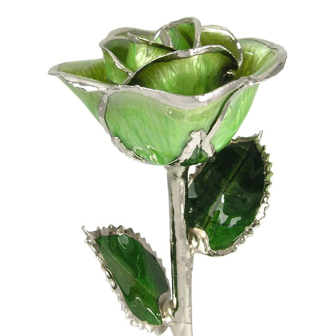 Silver Trimmed Rose: 11" Light Green Rose